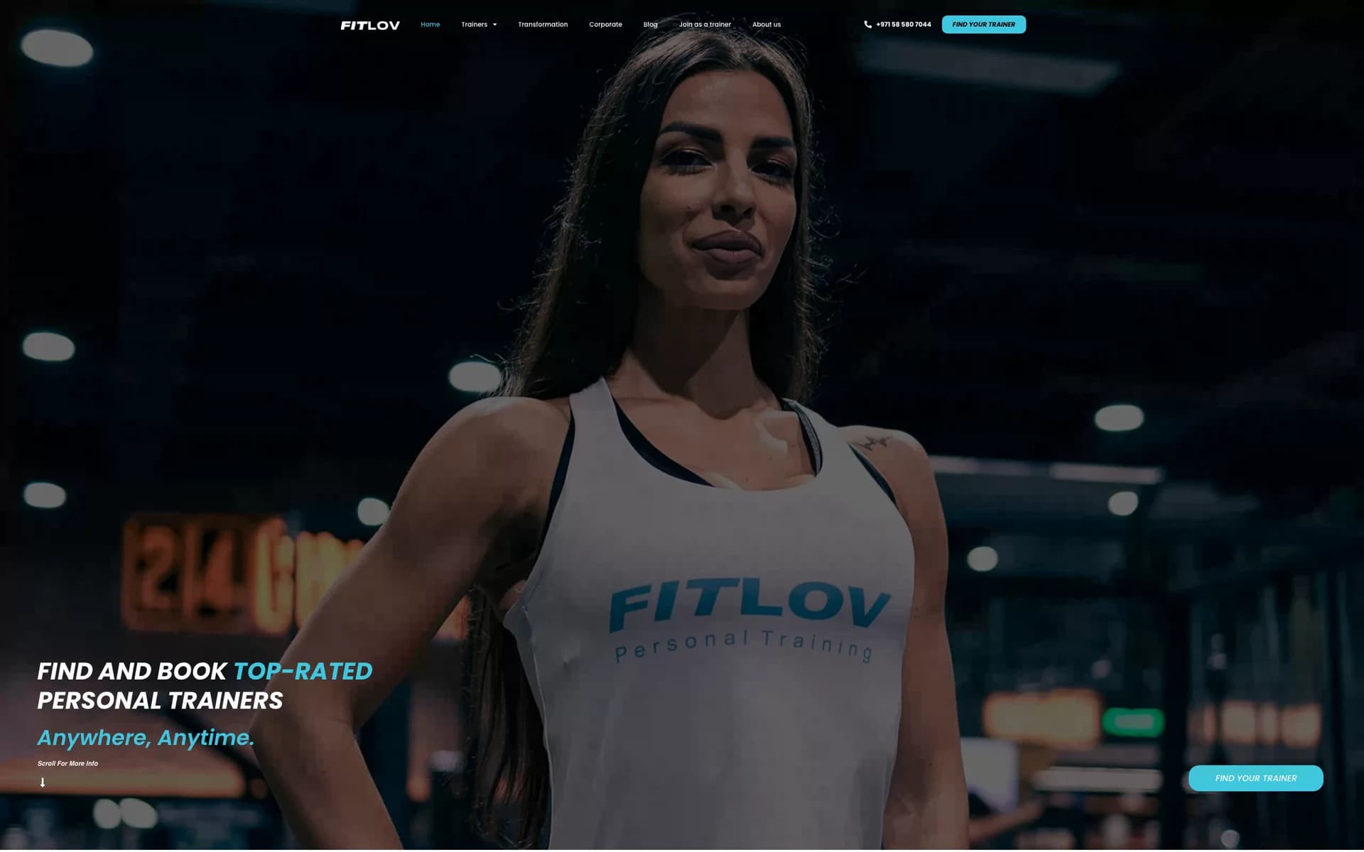 Fitlov — recent work